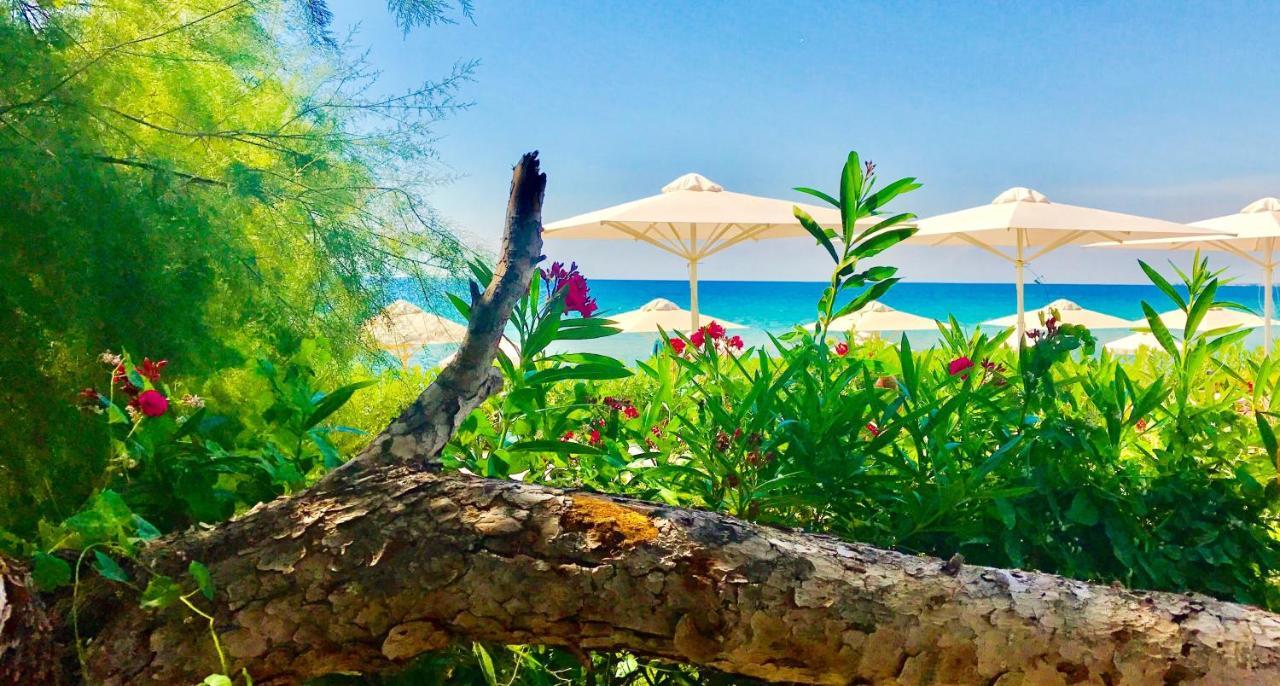 Kassandra Mare Hotel Nea Poteidaia Dış mekan fotoğraf