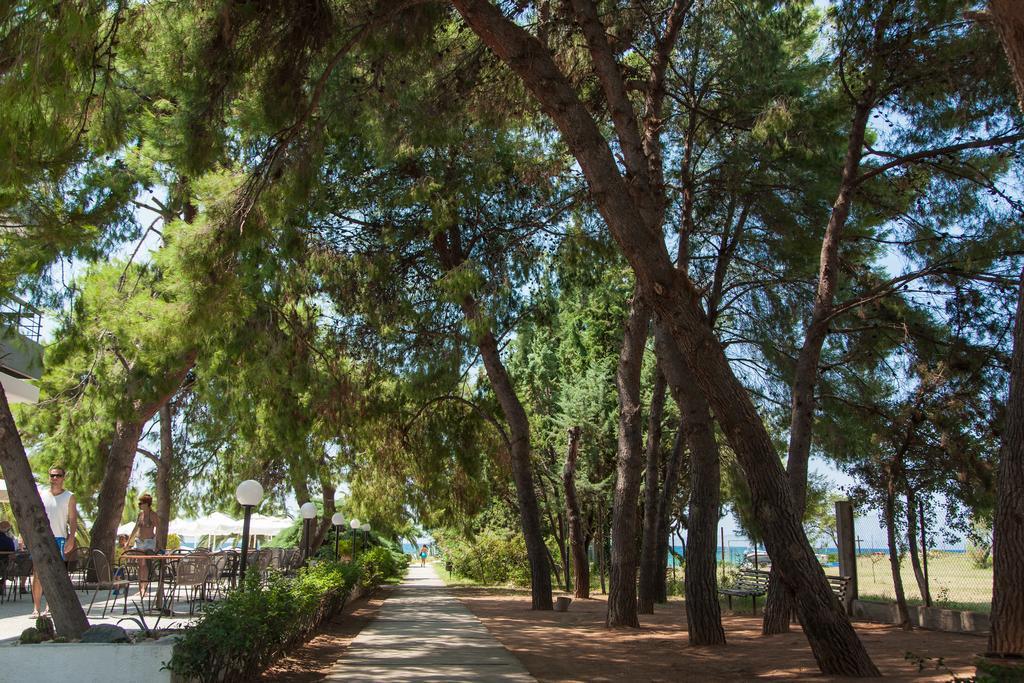Kassandra Mare Hotel Nea Poteidaia Dış mekan fotoğraf